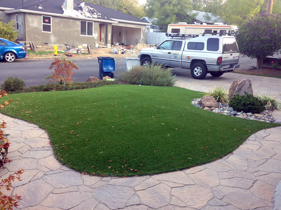Artificial Grass Bay Hill, Florida Landscaping, Front Yard