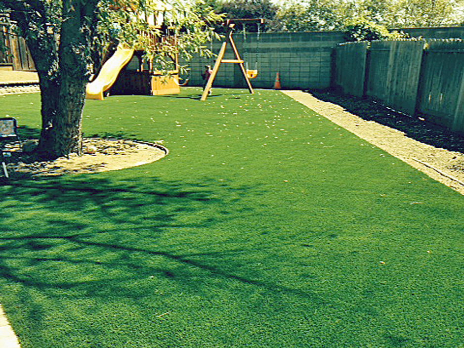 Grass Carpet Hilliard Florida Lawn And Landscape Backyard Makeover