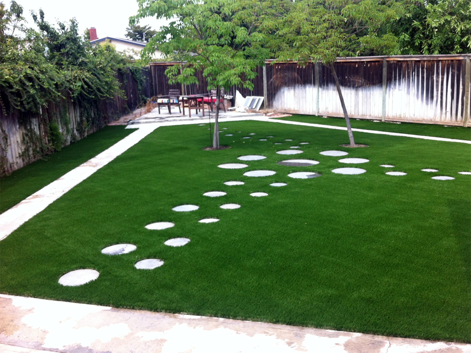 Artificial Grass Lawn Garden Design Landscape Software