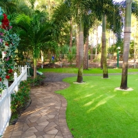 Artificial Grass Groveland, Florida Landscape Rock, Front Yard Landscape Ideas