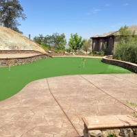 Artificial Grass Steinhatchee, Florida Putting Green Grass, Backyard Ideas