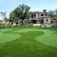Artificial Lawn Sawgrass, Florida Golf Green, Front Yard Landscaping