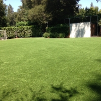 Artificial Turf Cost Fern Park, Florida High School Sports, Backyard Ideas
