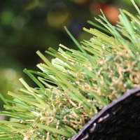 C Blade-92 C Blade-92