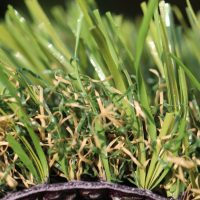 C Blade-92 C Blade-92