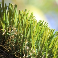 Double W-85 Double W-85