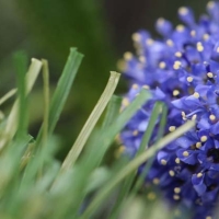 Trainers Turf-63 Trainers Turf-63