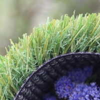 Trainers Turf-63 Trainers Turf-63