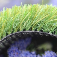 Trainers Turf-63 Trainers Turf-63