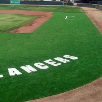 Best Artificial Grass Oakland, Florida Red Turf