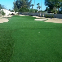 Best Artificial Grass Southchase, Florida Landscape Photos