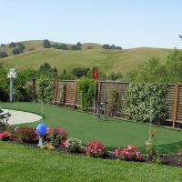 Fake Grass Carpet Pomona Park, Florida Design Ideas, Backyard Landscaping