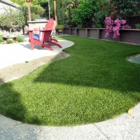 Fake Grass Eatonville, Florida Home And Garden, Backyards
