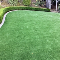 Fake Grass Montverde, Florida Garden Ideas, Backyard Designs
