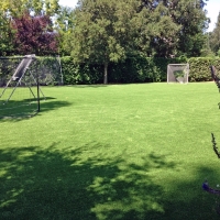 Fake Lawn Eatonville, Florida Backyard Soccer, Backyard
