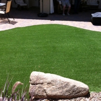 Faux Grass Bushnell, Florida Dog Running, Backyard Landscaping