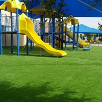Green Lawn Fairview Shores, Florida Backyard Playground, Commercial Landscape