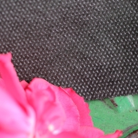 Weed Barrier Weed Barrier