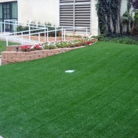 Outdoor Carpet Fernandina Beach, Florida Diy Putting Green, Commercial Landscape