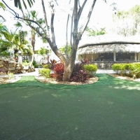 Plastic Grass La Crosse, Florida Lawns, Commercial Landscape