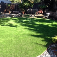 Plastic Grass Oak Hill, Florida Dogs, Backyard Makeover