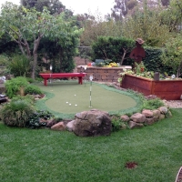 Synthetic Grass Bithlo, Florida Indoor Putting Greens, Backyards