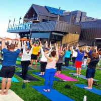 Synthetic Grass Cost Ponce Inlet, Florida Sports Turf, Commercial Landscape