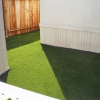 Synthetic Grass High Springs, Florida Landscape Rock, Backyard Designs