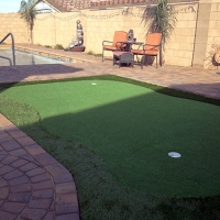 Synthetic Turf Fanning Springs, Florida Backyard Putting Green, Backyard Landscape Ideas