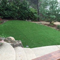 Synthetic Turf Supplier Greenville, Florida Backyard Playground, Small Backyard Ideas