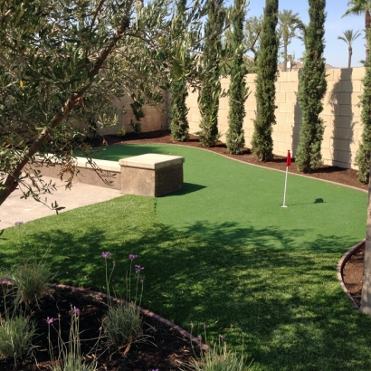 Artificial Grass Beverly Hills, Florida Diy Putting Green, Backyard
