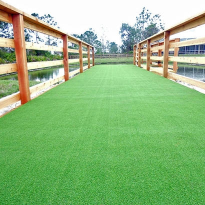 Artificial Grass Carpet Ferndale, Florida Landscape Ideas, Commercial Landscape