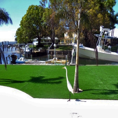 Artificial Grass Carpet Lawtey, Florida Landscape Design, Backyard Design