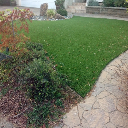 Artificial Grass Carpet Waldo, Florida Dog Hospital, Backyard Design
