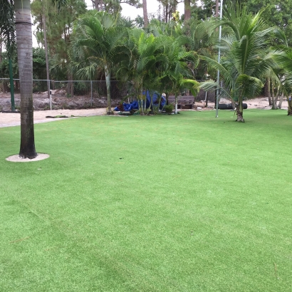 Artificial Grass Installation Oak Ridge, Florida Backyard Deck Ideas, Commercial Landscape