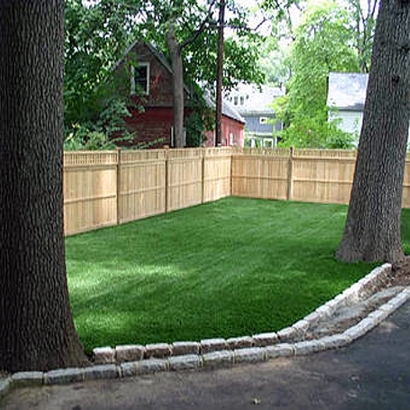 Artificial Grass La Crosse, Florida Home And Garden, Backyard