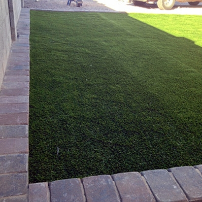 Artificial Grass Lake Helen, Florida Dog Hospital, Small Front Yard Landscaping