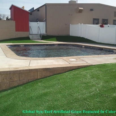 Artificial Grass Penney Farms, Florida Rooftop, Pool Designs