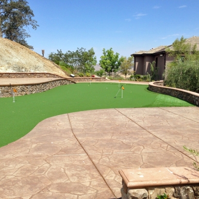 Artificial Grass Steinhatchee, Florida Putting Green Grass, Backyard Ideas