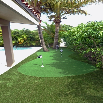 Artificial Grass Trilby, Florida Lawn And Landscape, Backyard Landscaping