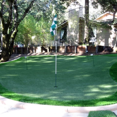 Artificial Lawn Citra, Florida Landscape Ideas, Backyard Designs