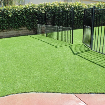 Artificial Lawn Fruitland Park, Florida Artificial Turf For Dogs, Front Yard Landscaping