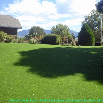 Artificial Lawn Lakeside, Florida Landscape Design, Backyard