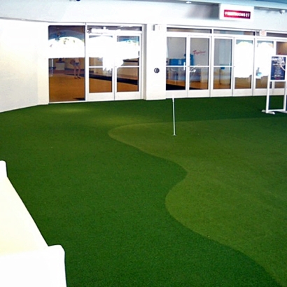 Artificial Lawn Masaryktown, Florida Design Ideas, Commercial Landscape
