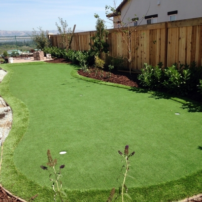Artificial Lawn Newberry, Florida Golf Green, Backyard Ideas