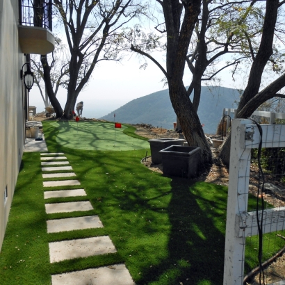 Artificial Lawn Tavares, Florida Diy Putting Green, Backyard Landscaping Ideas