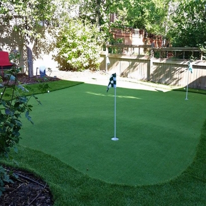 Artificial Lawn Wildwood, Florida Roof Top, Backyard Landscaping Ideas