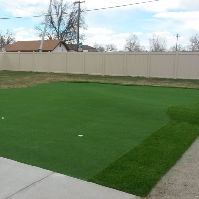 Artificial Turf Clermont, Florida Putting Green Grass, Backyards