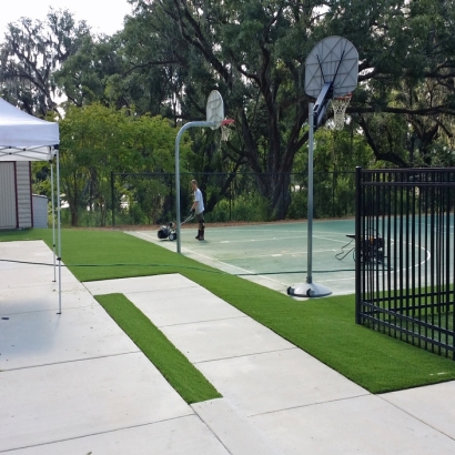 Artificial Turf Cost Altamonte Springs, Florida Lawn And Landscape, Commercial Landscape