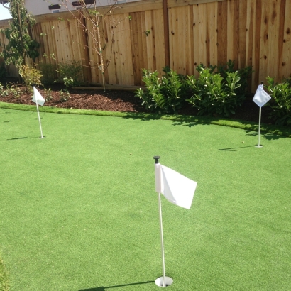 Artificial Turf Cost Branford, Florida Putting Green, Backyard Ideas
